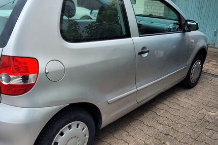VW Fox