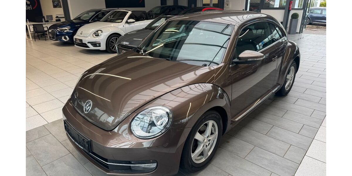 VW Beetle 146.000 km 6.550 &euro; Detmold 32758