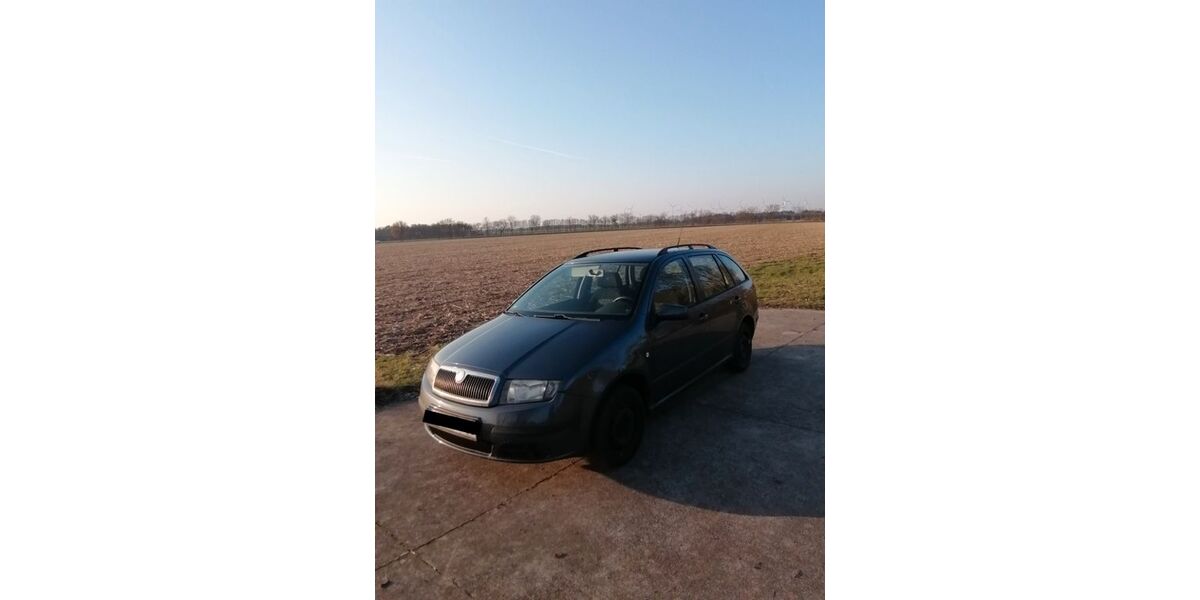 Skoda Fabia 298.075 km 3.000 &euro; Hassel 39596