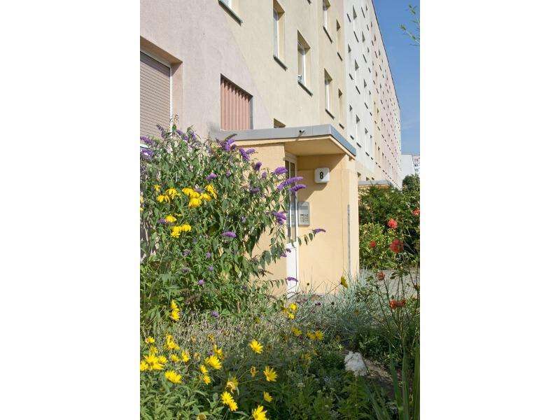 Wohnung zum Mieten in Halle (Saale) 245 € 50.44 m²
