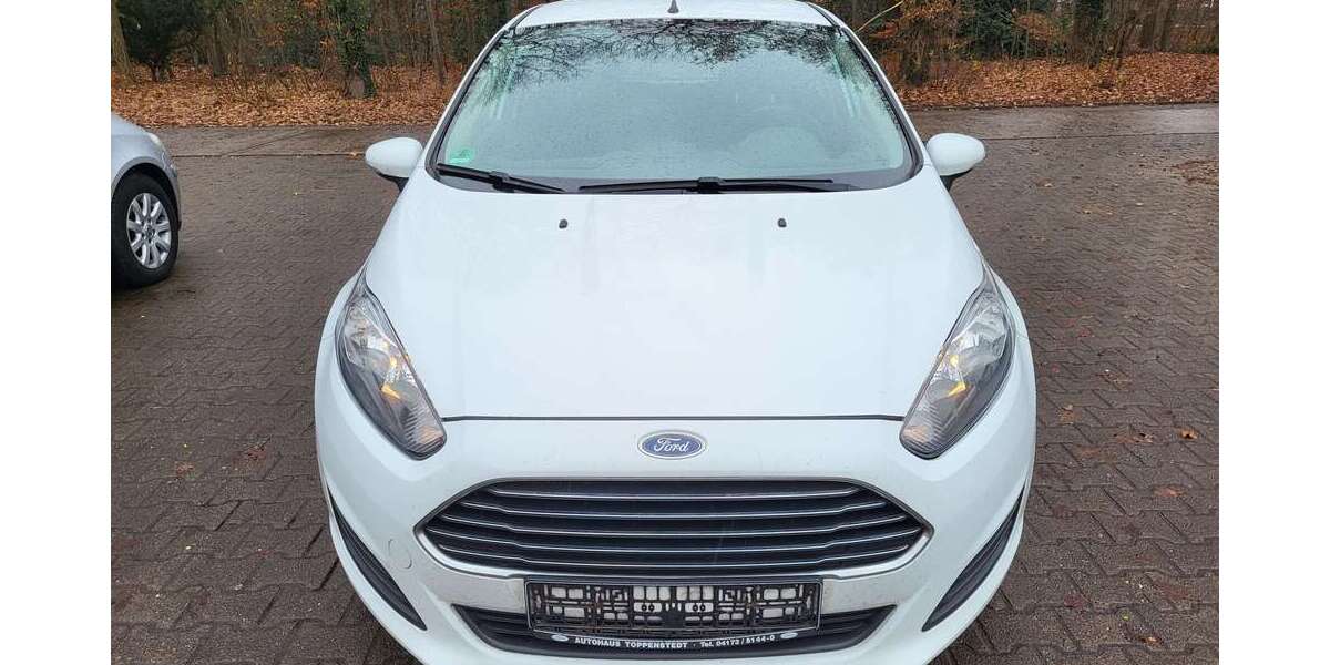 Ford Fiesta 219.000 km 3.700 &euro; Winsen (Luhe) 21423