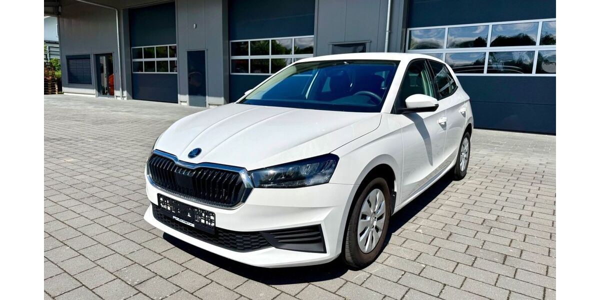 Skoda Fabia 49.981 km 12.300 &euro; Albig 55234