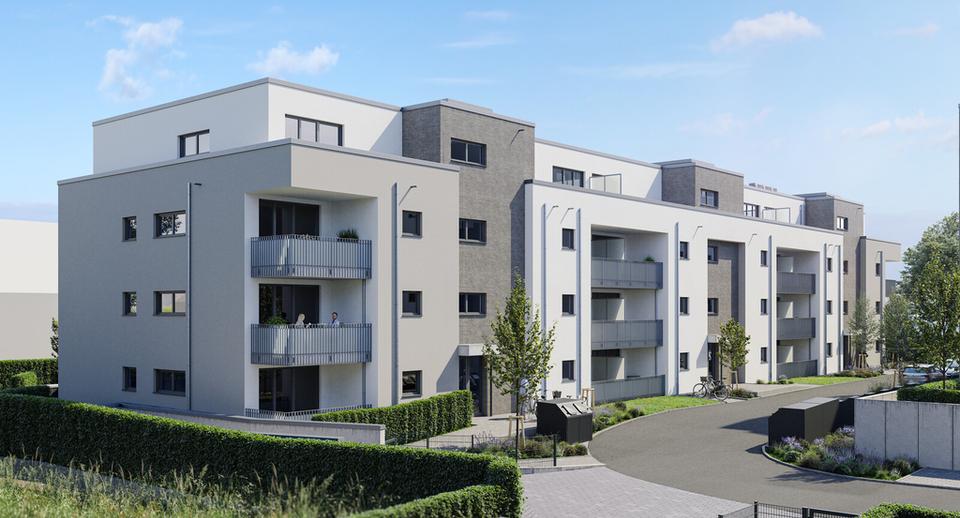 Erdgeschoßwohnung Rheinbach - 2 Zimmer, 61 m&sup2;, 818&euro; | Angebot:25423603