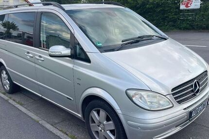 Mercedes Viano