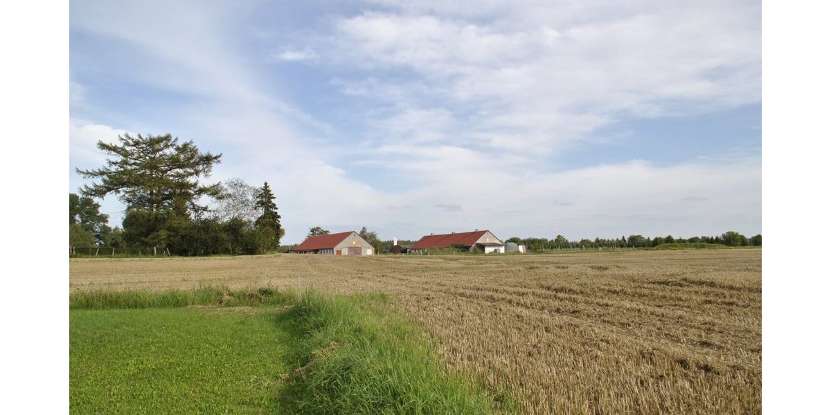Marlow-OT, Reitanlage + Blockhütten in Ostseenähe - Anlageobjekt Marlow Allerstorf | Angebot:12287822