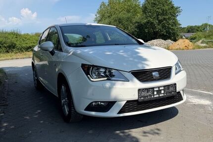 Seat Ibiza 179.523 km 5.100 &euro; Spelle 48480