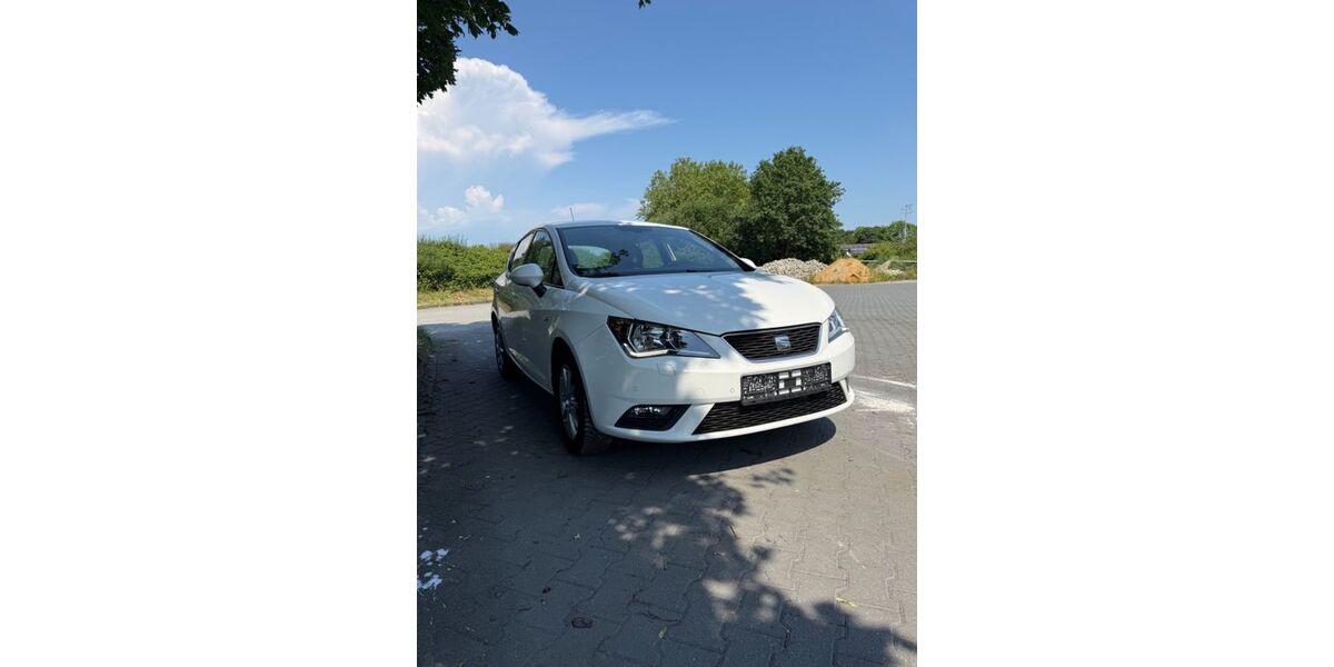 Seat Ibiza 179.523 km 5.100 &euro; Spelle 48480