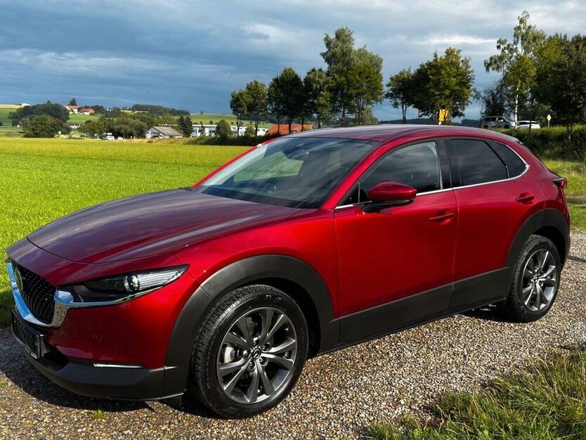 CX-30