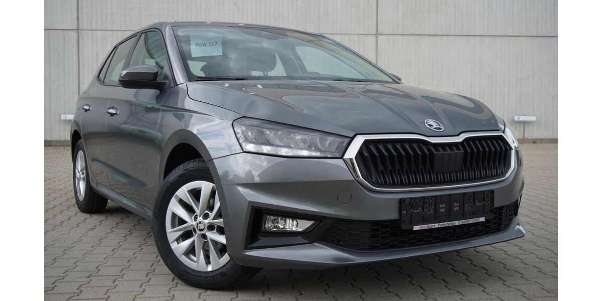 Skoda Fabia 54.000 km 15.950 &euro; Parkstetten 94365
