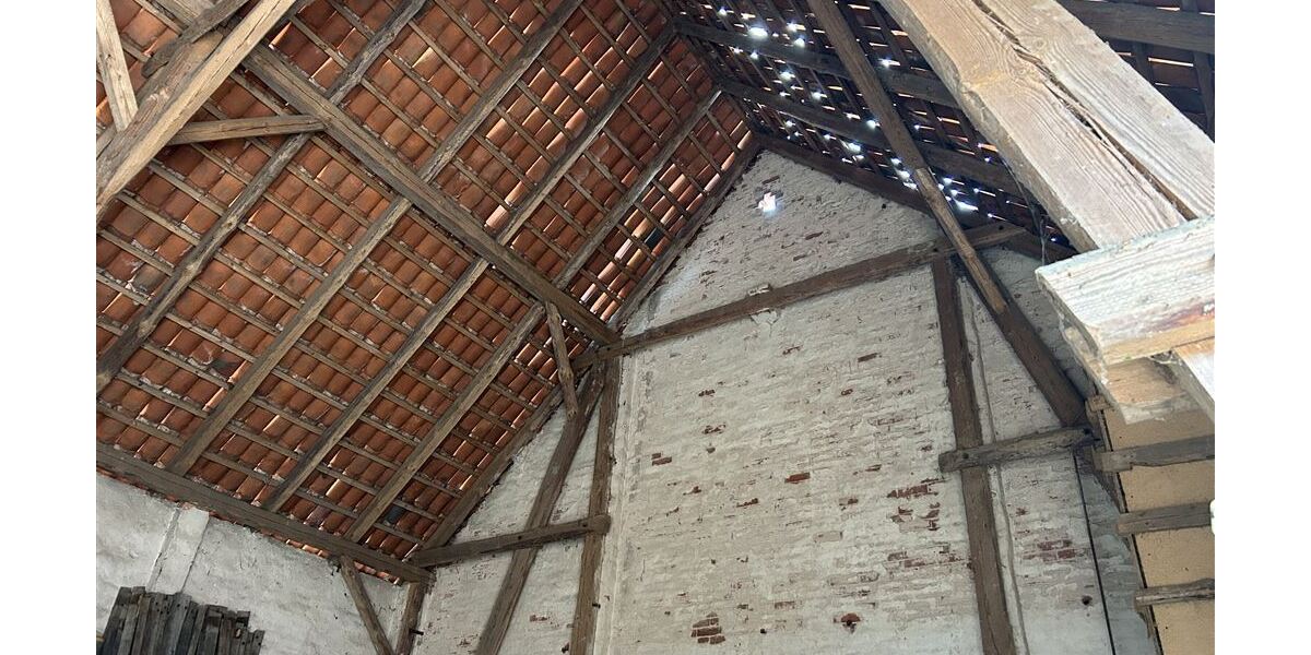 Bauernhof mit arrondierten Weide- und Ackerflächen, ideal für Pferdehaltung - Gewerbeobjekt Stolzenau | Angebot:24992642