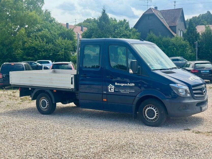 Sprinter