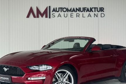 Ford Mustang 33.617 km 35.950 € Arnsberg 59759