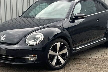 VW Beetle