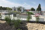 Etagenwohnung München Au-Haidhausen - 2 Zimmer, 48 m&sup2;, 1.890&euro; | Angebot:26903702