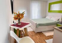1 Zimmer Apartment Vollmobiliert in Pasing 81243