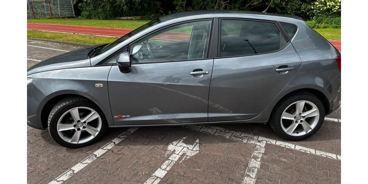 Seat Ibiza 135.000 km 4.450 &euro; Grönwohld 22956