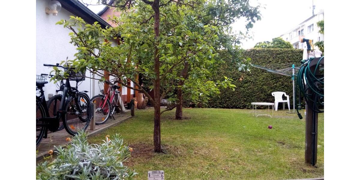Mehrfamilienhaus, Wohnhaus Neubrandenburg Datzeberg - 550.000&euro; | Angebot:26770319