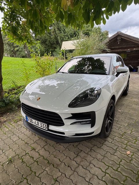 Macan