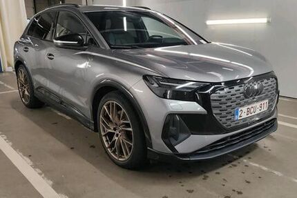 Audi Q4 e-tron 134.000 km 22.491 &euro; Rheinzabern 76764