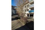 Hochparterre Braunschweig Südstadt- Rautheim- Mascherode - 3 Zimmer, 75 m&sup2;, 660&euro; | Angebot:26409838