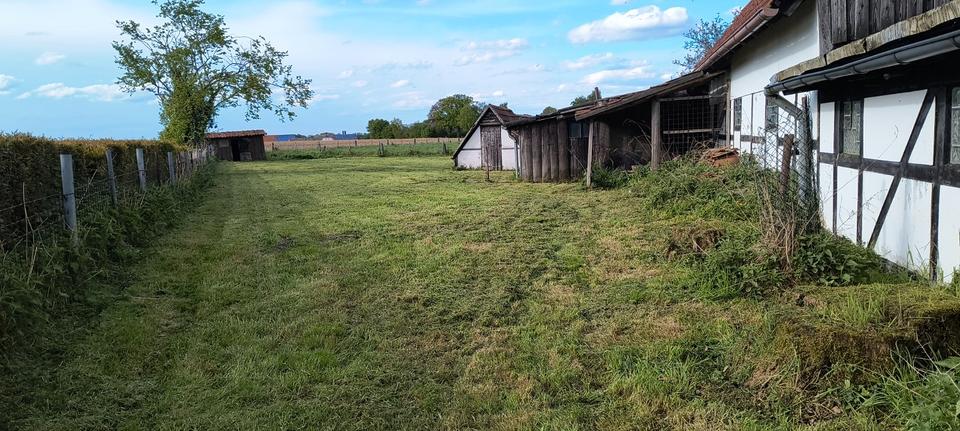 Einfamilienhaus Ennigerloh - 10 Zimmer, 250 m&sup2;, 580.000&euro; | Angebot:26702151