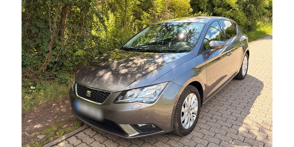 Seat Leon 98.600 km 7.300 &euro; Koblenz 56073