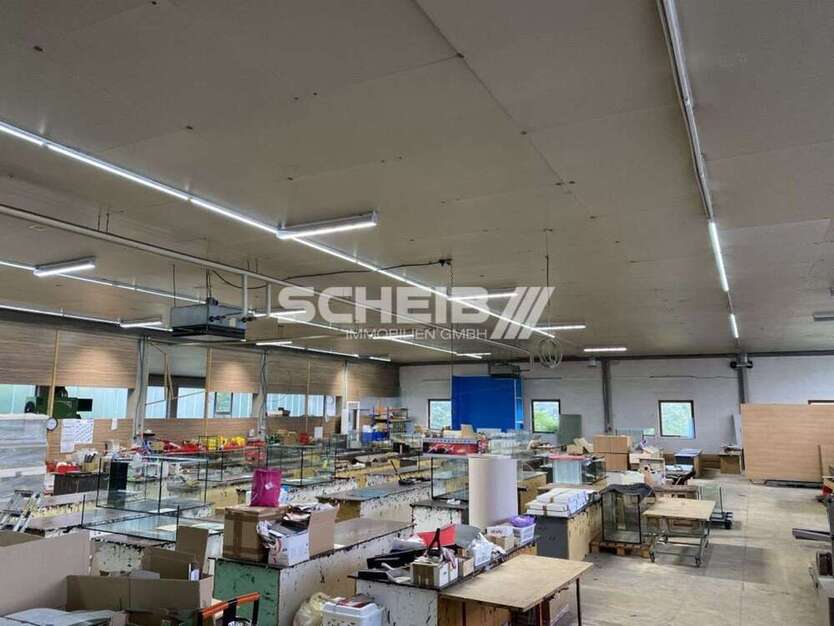 Halle in Stimpfach 2.655,57 € 931.78 m²