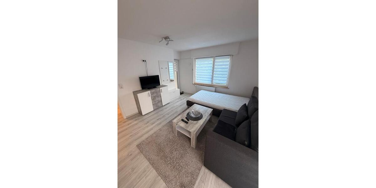 Erdgeschoßwohnung Singen (Hohentwiel) - 2 Zimmer, 50 m&sup2;, 900&euro; | Angebot:26636276