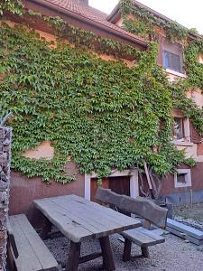 7 ZIMMER, KAMIN & KOCHINSEL IM ORTSKERN - Einfamilienhaus Lauf | Angebot:27022737