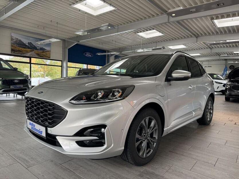 Kuga