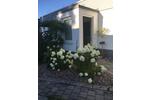 Einfamilienhaus Schopfheim - 15 Zimmer, 340 m&sup2;, 1.500.000&euro; | Angebot:25867411