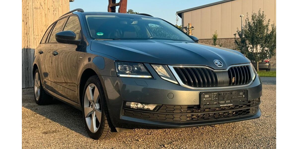 Skoda Octavia 376.280 km 9.300 &euro; Gehrde 49596