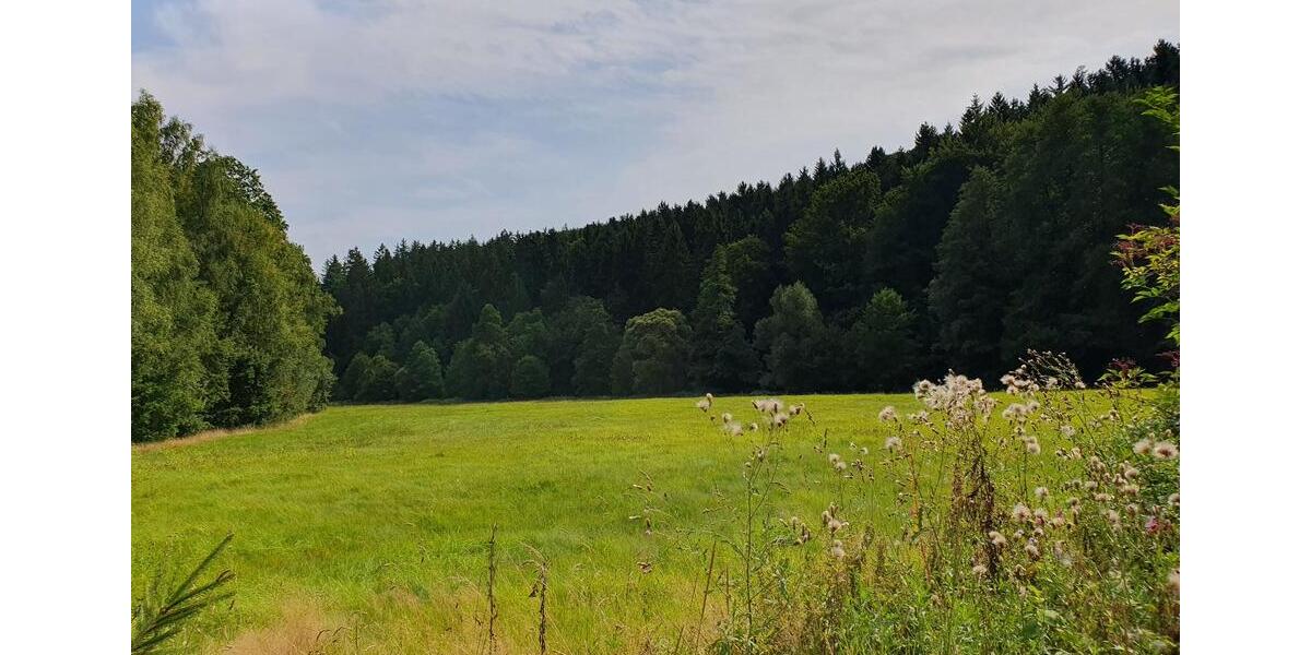 Doppelhaushälfte Thermalbad Wiesenbad - 6 Zimmer, 94 m&sup2;, 750&euro; | Angebot:23051767