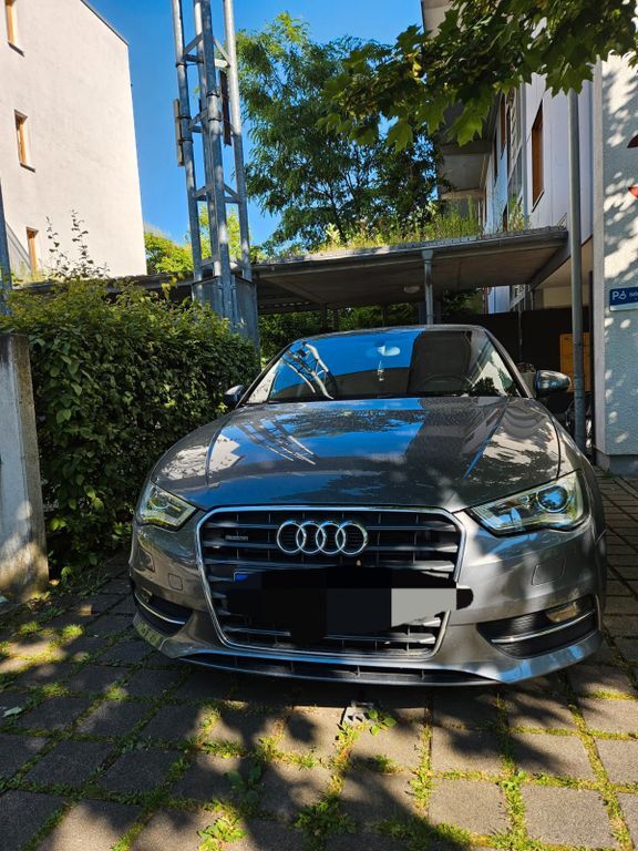 A3