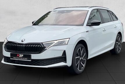 Skoda Octavia 5.500 km 43.880 € Schleswig 24837