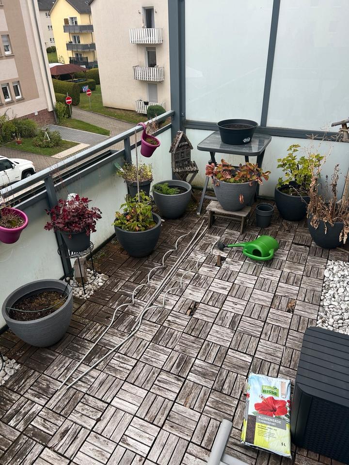 Charmante 2-Zimmer-Wohnung mit Balkon in Hemer