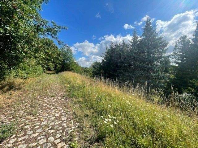 Grundstück Wethau - 55.000&euro; | Angebot:22088229