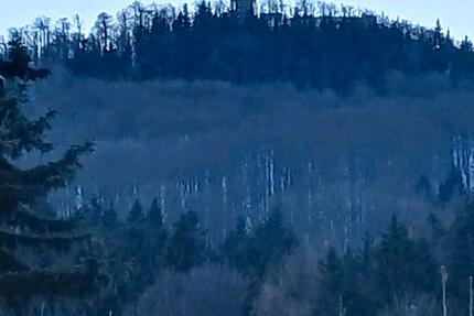 Haus Großschönau Waltersdorf - 5 Zimmer, 100 m&sup2;, 190.000&euro; | Angebot:24568212