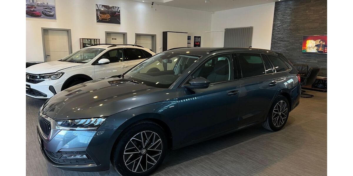 Skoda Octavia 166.701 km 16.985 &euro; Volkmarsen 34471