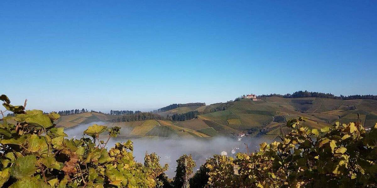 Grundstück Durbach - 495.000&euro; | Angebot:26028100