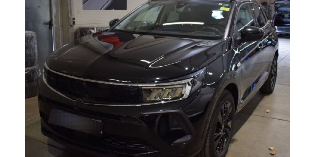 Opel Grandland (X) 98.000 km 16.065 &euro; Heidelberg 69123