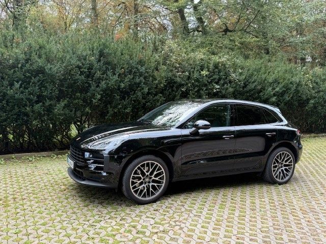 Macan