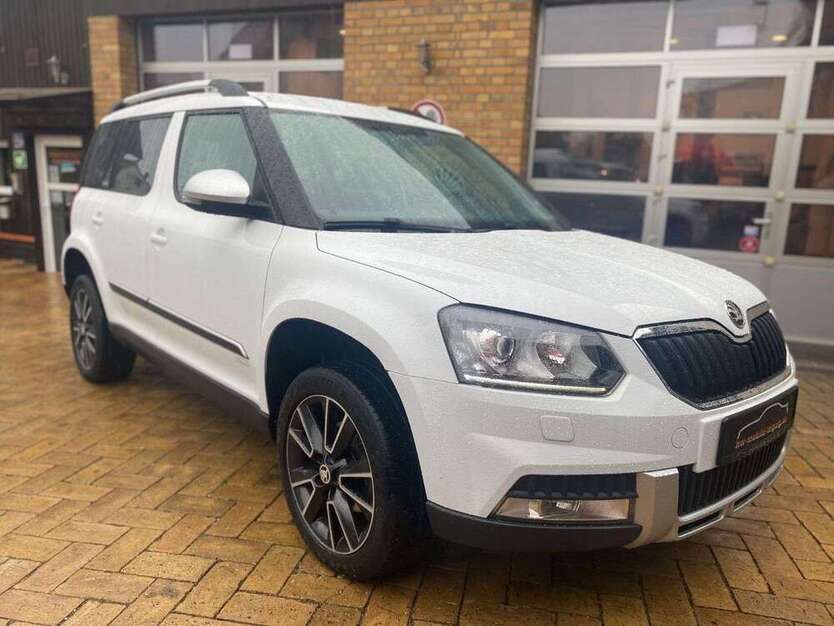 Yeti
