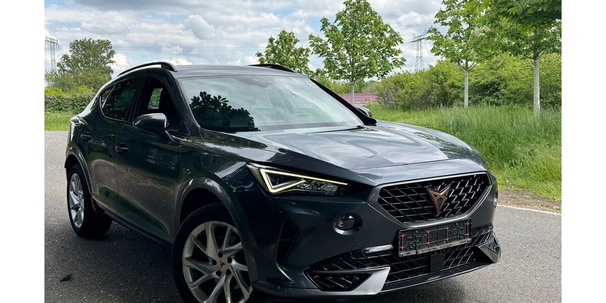 Cupra Formentor 103.133 km 19.500 &euro; Mittenwalde 15749