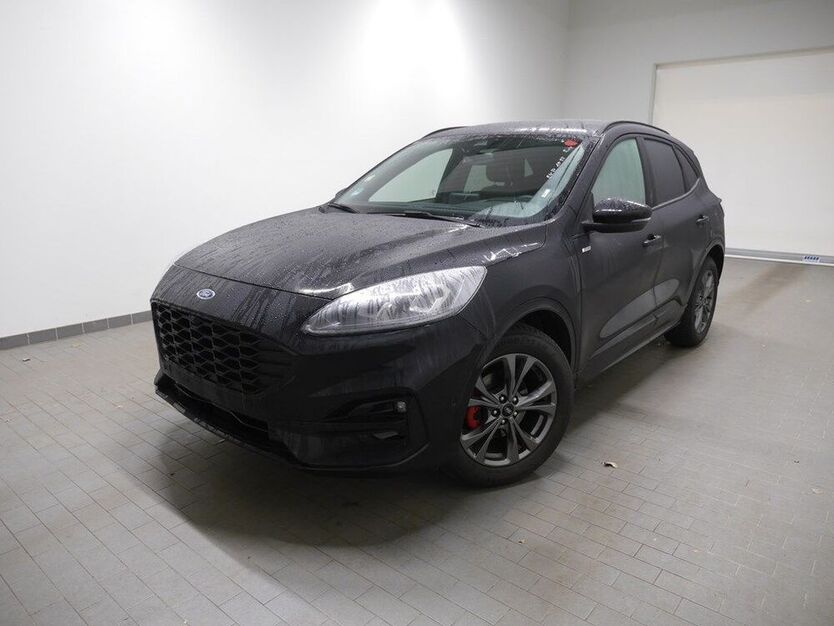 Kuga
