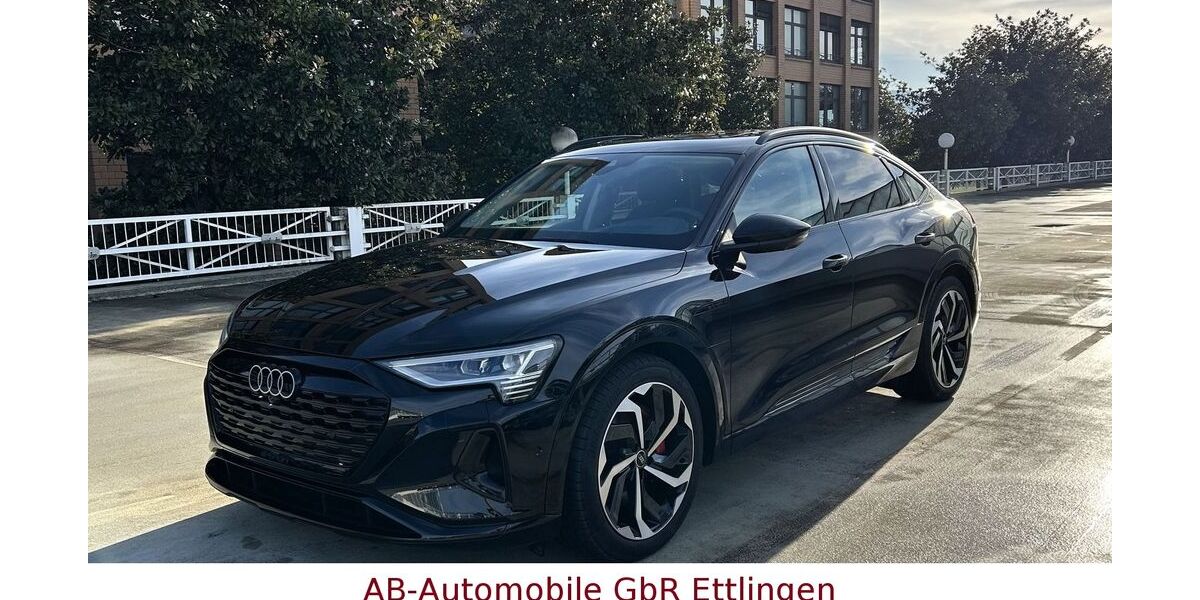 Audi Q8 e-tron 21.966 km 56.900 &euro; Ettlingen 76275