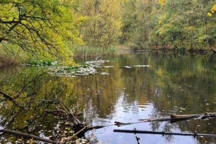 Top modernes Reihenhaus an der Fischbeker Heide (Naturschutzgebiet) 5 zimmer