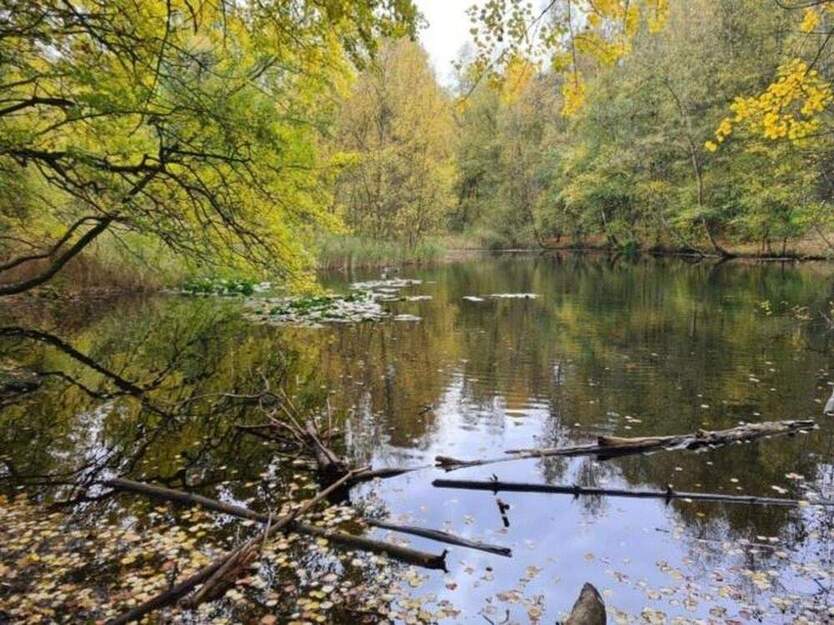 Top modernes Reihenhaus an der Fischbeker Heide (Naturschutzgebiet) 5 zimmer