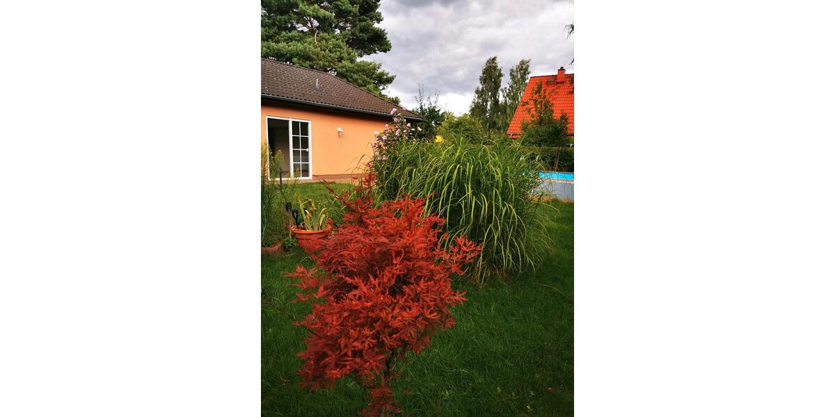 Bungalow Berlin Pankow - 3 Zimmer, 78 m&sup2;, 449.000&euro; | Angebot:27112010