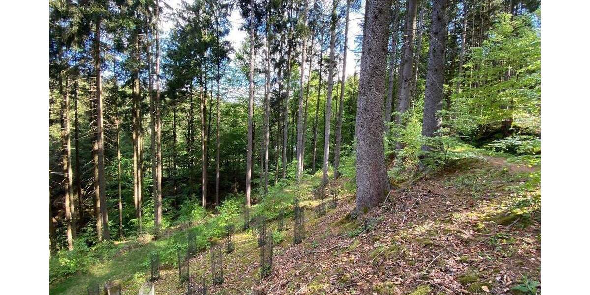 Grundstück Flossenbürg - 170.000&euro; | Angebot:26036735